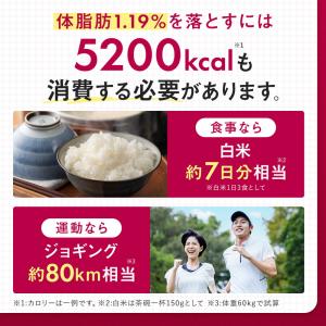 ダイエットサプリ エラグ酸 通常の2倍量 肥満...の詳細画像5