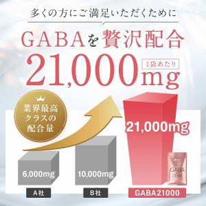 GABA ギャバ サプリ サプリメント 210...の詳細画像2