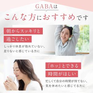 GABA ギャバ サプリ サプリメント 210...の詳細画像4