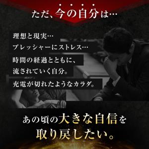 超Paypay祭り3/21~22限定☆マカ サ...の詳細画像4