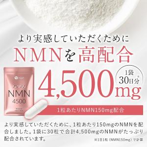 NMN サプリ サプリメント 日本製 純度10...の詳細画像4