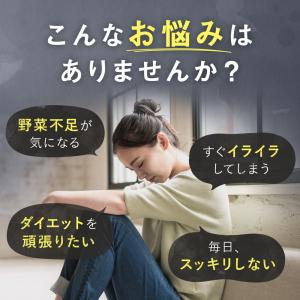 モリンガ サプリ サプリメント 有機モリンガ ...の詳細画像3