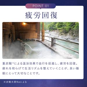 入浴剤 炭酸 重炭酸 保湿 発汗 個包装 大容...の詳細画像5