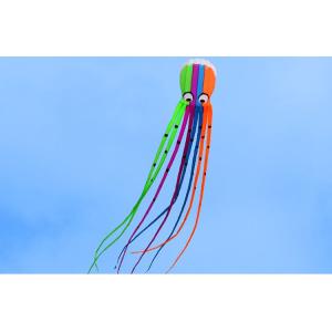 凧　凧揚げ　カイト　スポーツトイ　アクショントイ　おもちゃ(19061004)