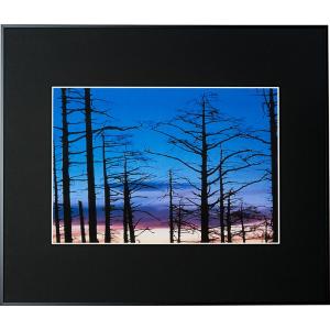 DNP 写真額縁 ギャラリーII A3 ブラック フォトフレーム