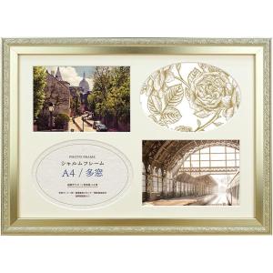 FUJIFILM（フジフイルム） 受発注品 フジカラー アルミ額縁 YA-5 全紙