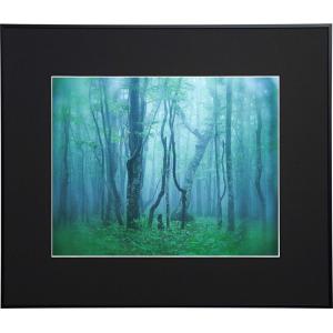 高級 おしゃれ 壁掛け 額縁 展示用 ケンコートキナー 写真額縁 ギャラリー 半切 ブラック フォトフレーム