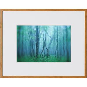 ケンコー・トキナー（KenkoTokina） 受発注商品 アルミ額縁 ギャラリー