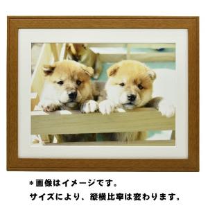 FUJIFILM（フジフイルム） お取り寄せ フジカラー フォトフレーム