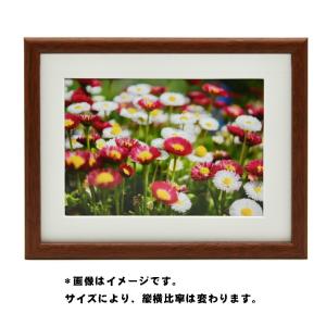 FUJIFILM（フジフイルム） お取り寄せ フジカラー フォトフレーム 高級