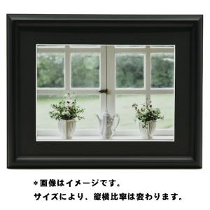 FUJIFILM（フジフイルム） お取り寄せ フジカラー 高級 おしゃれ 額縁