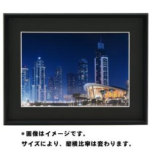 フジカラー 写真用アルミ額縁 A300 6切 5枚セット フォトフレーム フジカラー 写真用アルミ額縁 A300 6切 5枚セット フジカラー 写真用