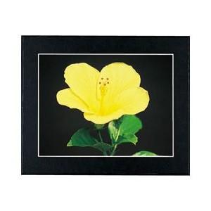 全紙 ブラック マットパネルDX フジカラー FUJICOLOR