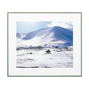 FUJIFILM（フジフイルム） お取り寄せ フジカラー 高級 おしゃれ 額縁