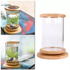 ベタ 水槽 おしゃれ 水槽 の商品一覧 熱帯魚 アクアリウム用品 ペット用品 生き物 通販 Yahoo ショッピング