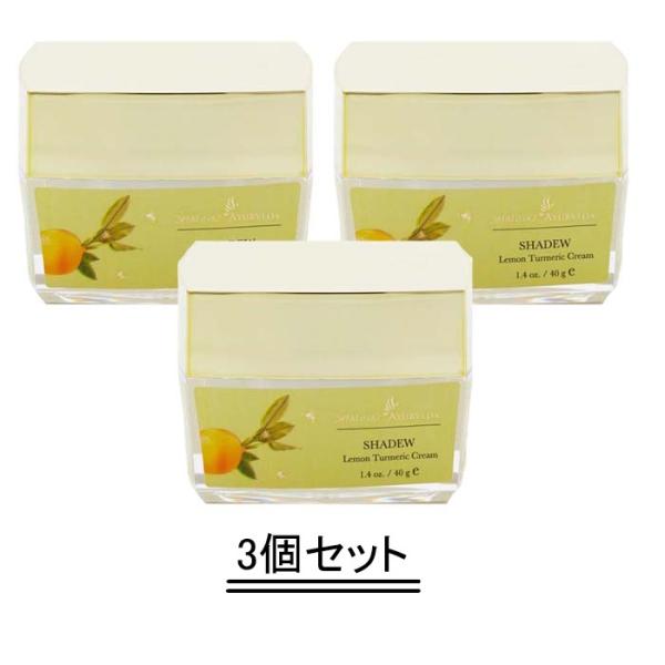 Shahnaz Ayurveda シャナーズ　アーユルヴェーダ シャーデュー 40g【3個セット】【...