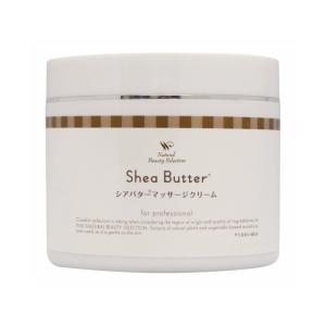 オーアイメソッド パイテラピー GP ボディマッサージクリーム PRO