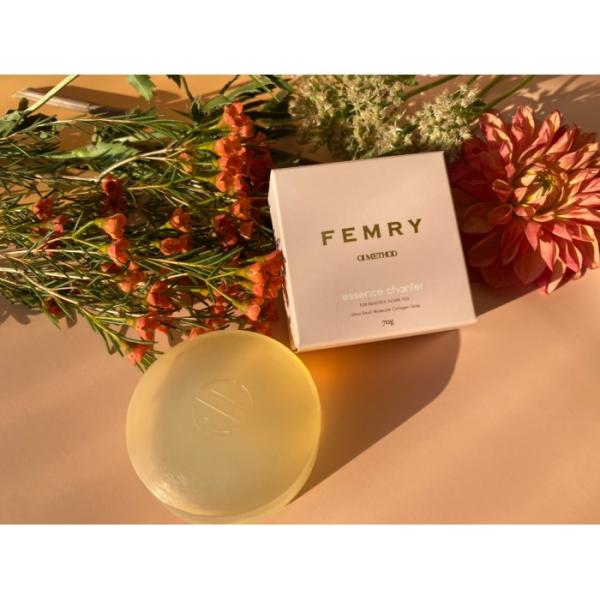 OI method オーアイメソッド パイテラピー エッセンスシャンテ 70g