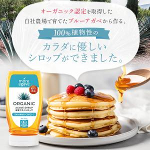 アガベシロップ 3本セット 有機 オーガニック...の詳細画像1