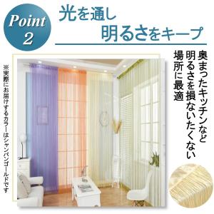 カーテン 紐 ひも のれん 200cm ストリ...の詳細画像2