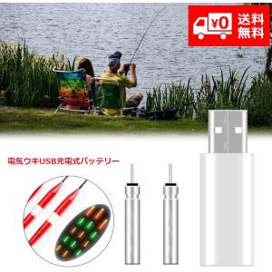 夜釣り 電気ウキ用 CR425 ピン型 リチウム電池 USB 2個同時充電器