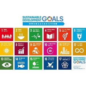 SDGs 2.5mm 国連ガイドライン対応 平...の詳細画像4
