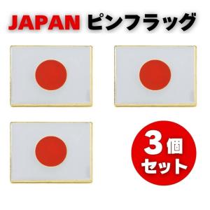 ピンバッジ 日本の国旗 デラックス薄型キャッチ付き日の丸日章旗