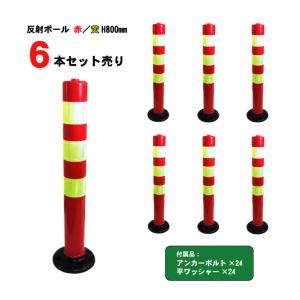 法人、もしくは西濃運輸支店止め限定】レボリューションコーン 10本