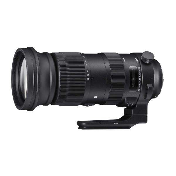 シグマ(Sigma) SIGMA シグマ Nikon Fマウント レンズ 60-600mm F5-6...