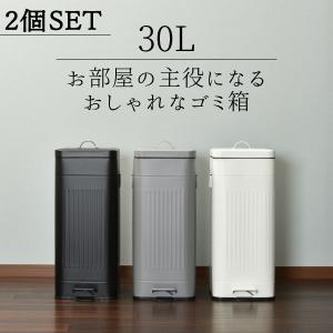 SONGMICS ゴミ箱 2x15L ペダル式 分別 蓋付き インナーバケット