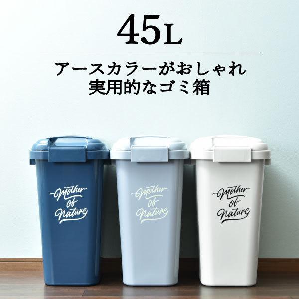 ゴミ箱 45リットル 屋外 分別 フタ付きゴミ箱 ダストボックス スリム 連結可能 大容 防臭 生ゴ...