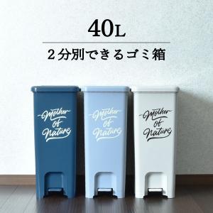 DULTON（ダルトン） ゴミ箱 ふた付き ダストボックス 40L ステンレス