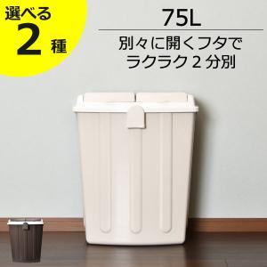 ゴミ箱 おしゃれ ダストボックス インテリア雑貨 キッチン リビング 屋外 45リットル 45L 分別 ふた付き 大容量 大きい シンプル 日本製 ( エコペール 75L )