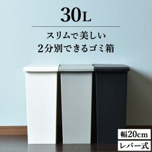 ゴミ箱 おしゃれ キッチン 分別 ふた付き スリム 収納 30リットル 幅cm ダストボックス リビング インテリア雑貨 北欧 リス Toste トステ レバーオープン 30l 023a 042 モノギャラリー 通販 Yahoo ショッピング