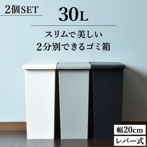 ゴミ箱 キッチン用 おしゃれ 30リットル 分別 ダストボックス スリム フタ付き 生ゴミ 縦型 シ...