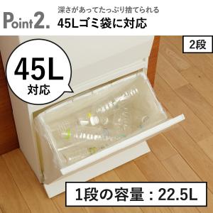 ゴミ箱 45リットル おしゃれ スリム ダスト...の詳細画像4