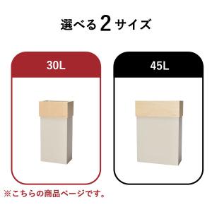 ゴミ箱 45リットル袋対応 おしゃれ 分別 ス...の詳細画像2