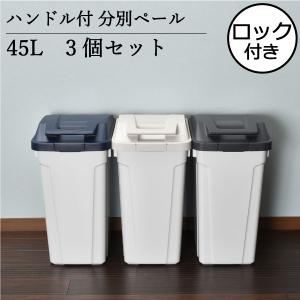 アスベル（ASVEL） ゴミ箱 おしゃれ 45リットル キッチン用 分別 屋外