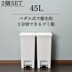 Hailo（ハイロ） ビッグボックススウィングXL ゴミ箱 52L 四角型