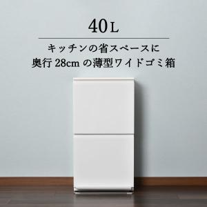 ゴミ箱 おしゃれ ダストボックス 45L袋対応 ...の商品画像