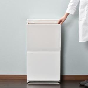 ゴミ箱 おしゃれ ダストボックス 45L袋対応...の詳細画像1
