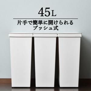 ゴミ箱 インテリア雑貨 おしゃれ キッチン ダストボックス 45リットル 分別 並べて シンプル スリム 分別用 ホワイト 白( エバンプッシュペール45L )｜monogallery