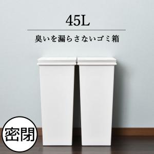ゴミ箱 45リットル おしゃれ キッチン ダストボックス インテリア雑貨 シンプル 無地 生ごみ 防臭 ホワイト 大容量 アスベル エバンMP密閉プッシュペール 45L