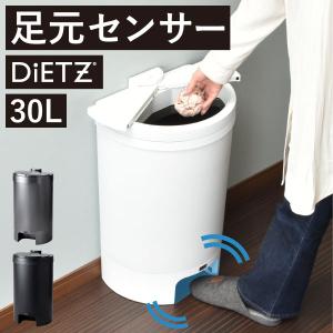 DULTON（ダルトン） ゴミ箱 ふた付き ダストボックス 40L ステンレス