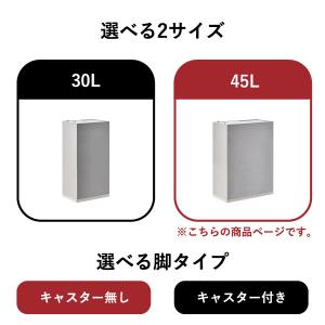 ゴミ箱 45リットル おしゃれ 分別 蓋付き ...の詳細画像2