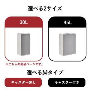 ゴミ箱 おしゃれ 分別 蓋付き スリム キッチ...の詳細画像2