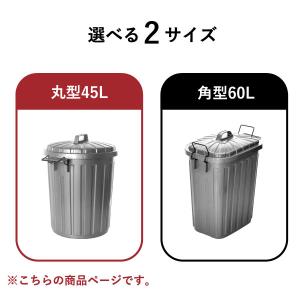 ゴミ箱 おしゃれ 分別 屋外 ダストボックス ...の詳細画像2