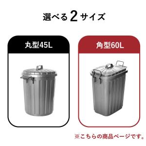 ゴミ箱 おしゃれ 分別 屋外 ダストボックス ...の詳細画像2