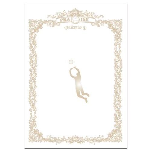 UNIX(ユニックス) スポーツ種目別賞状用紙 バレーボール FD13-85