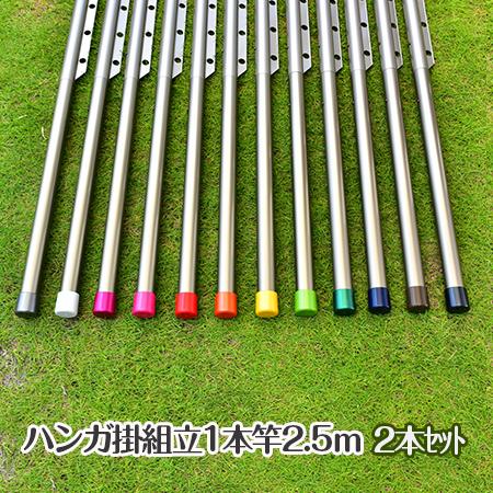 物干し竿 組み立て式 ハンガー掛け付き 1本竿 サビない 32パイ 2本 長さ 2.5m シャンパン...